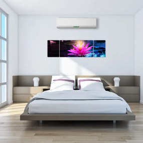 Obraz lilii wodnej na wodzie (170x50 cm)