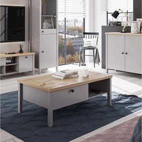 Stolik kawowy 110x40,5x60 cm szary