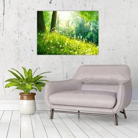 Obraz na szkle - Magiczna łąka pełna mniszków lekarskich (70x50 cm)