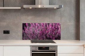 Szkło do Kuchni na Ścianę Jesienne Pole Wrzosów