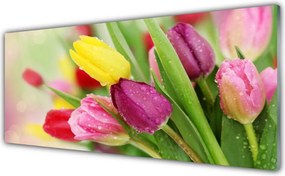 Szkło do Kuchni na Ścianę Tęczowy Bukiet Tulipanów