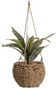 Sztuczna roślina (wysokość 25 cm) – Casa Selección