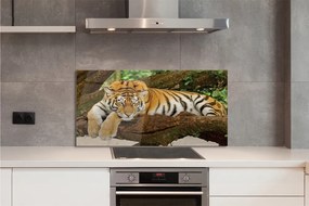 Szklany Panel Drzewo tygrys