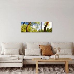 Obraz wiosennej łąki (z zegarem) (90x30 cm)