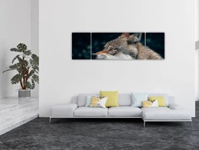 Obraz wilka (170x50 cm)