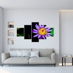 Obraz kwiatu (125x70 cm)