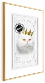Plakat Król kot 60x90 cm z ramą złotą z marginesem ARTGEIST B