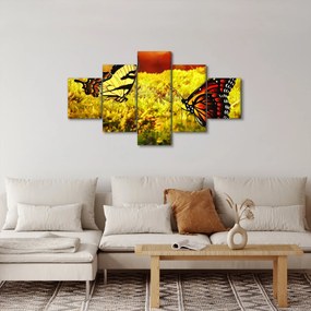 Obraz motyli (125x70 cm)