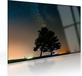 Obraz na szkle - nocne niebo z drzewami (70x50 cm)