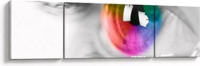Obraz - Irys (170x50 cm)