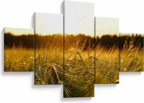 Obraz zroszonej trawy (125x70 cm)