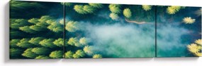 Obraz - Las spowity mgłą (170x50 cm)