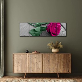 Obraz - Różowa róża z zieloną łodygą (170x50 cm)