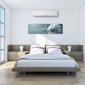 Obraz - Biały łabędź (170x50 cm)