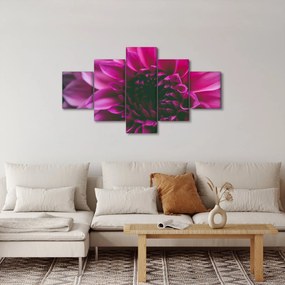 Obraz różowego kwiatu róży (125x70 cm)