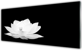 Szkło do Kuchni na Ścianę Naturalne Piękno Kwiatu