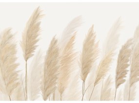 Fototapeta XXL Pampas 360 x 254 cm, 4 części