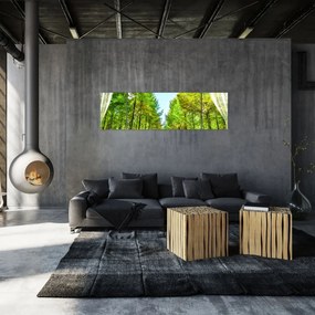 Obraz - Widok na las (170x50 cm)