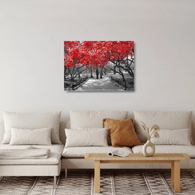 Obraz na szkle - Czerwone drzewa, Central Park, New York (70x50 cm)