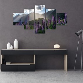 Obraz - Sceneria łubinów (125x70 cm)