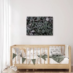 Obraz na szkle - Zamrożone rośliny (70x50 cm)
