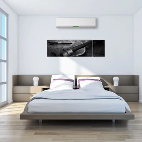 Obraz - Altówka (170x50 cm)