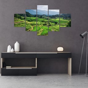 Obraz pól ryżowych (125x70 cm)