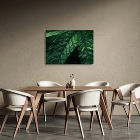 Obraz na szkle - Szczegół arkusza (70x50 cm)