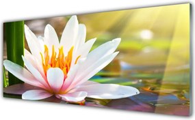 Panel Kuchenny Pełnia Letniego Rozkwitu