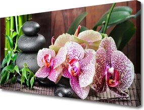 Obraz canvas Orchidea w Klimacie Zen
