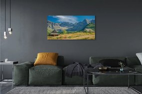 Zdjęcie na płótnie Góry, Pola i Domki