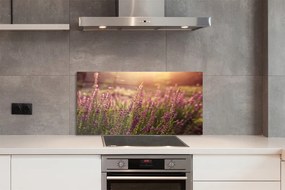 Szkło do Kuchni na Ścianę Rozległe Pole Wrzosów