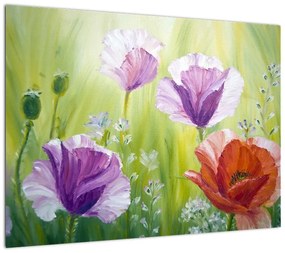 Obraz na szkle - Maki (70x50 cm)