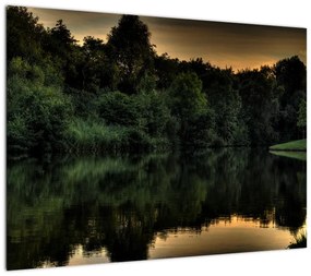 Obraz jeziora przy lesie (70x50 cm)