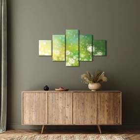 Obraz - Kwitnące mlecze (125x70 cm)