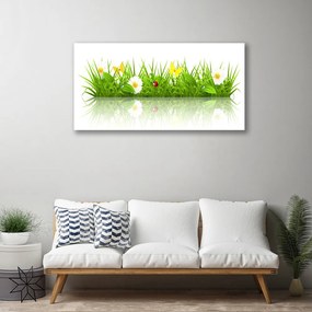 Obraz canvas na ścianę Zielona Świeżość Trawy