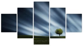 Obraz zorzy polarnej nad wrzosowiskami (125x70 cm)