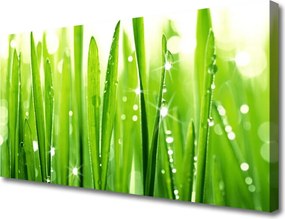 Fotoobraz na płótnie Szum Polnej Trawy