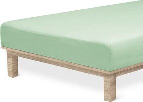 4Home prześcieradło jersey Lycry zielony, 100 x 200 cm, 100 x 200 cm