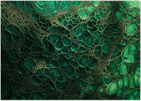 Obraz - Zielony mikroskopowy obraz (70x50 cm)