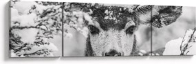 Obraz - Jeleń zimą (170x50 cm)