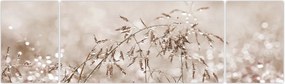 Obraz - Łąka w odcieniach brązu (170x50 cm)