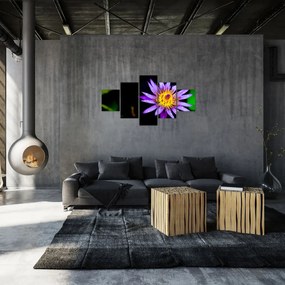 Obraz kwiatu (125x70 cm)