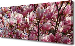 Obraz drukowany na płótnie Kwitnące Gałązki Drzewa