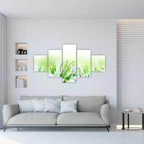 Obraz - Przebiśniegi (125x70 cm)