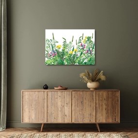 Obraz na szkle - Malowane kwiaty łąkowe (70x50 cm)