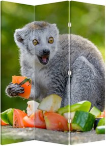 Parawan - Lemur (126x170 cm)
