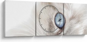 Obraz - Kot z niebieskimi oczami (z zegarem) (90x30 cm)