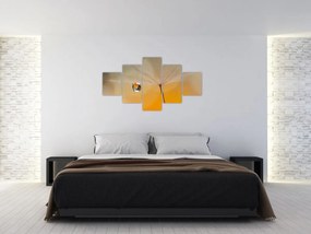 Obraz - Makro kwiat (125x70 cm)