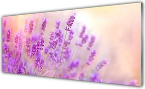 Panel Szklany Słoneczny Dzień na Polu Lawendy
